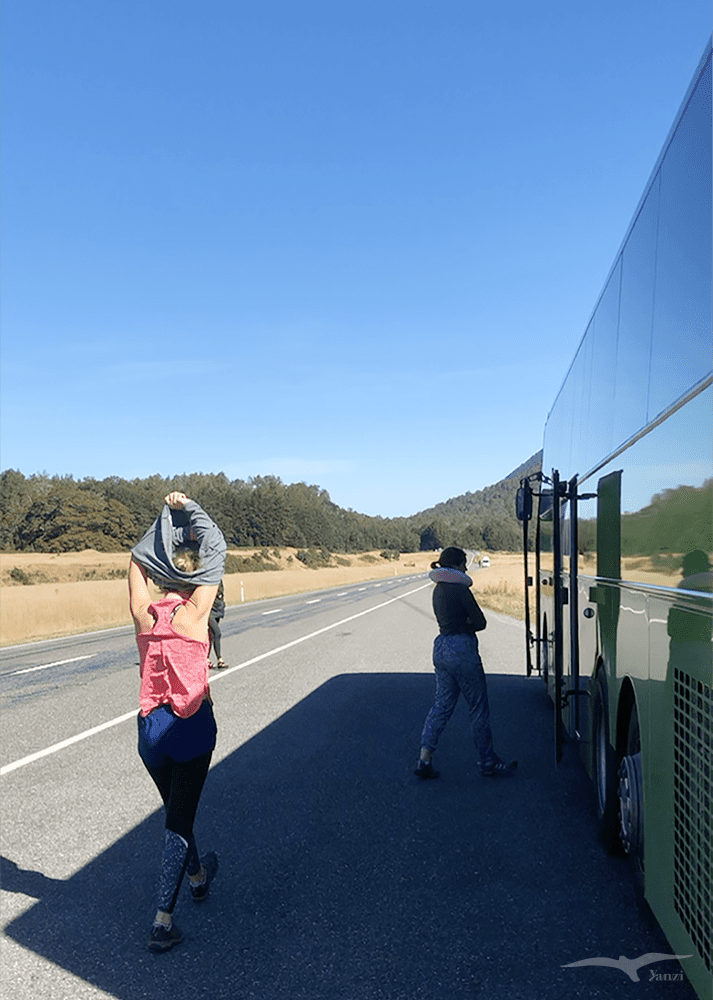 紐西蘭國道94號公路上 New Zealand State Highway 94