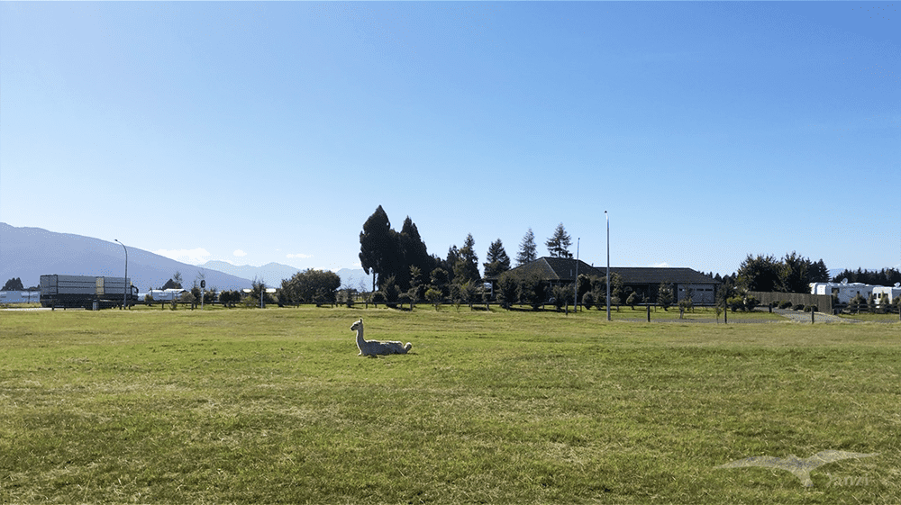 【紐西蘭D25上】蒂阿腦Te Anau～米爾福德峽灣｜沿途公路美景