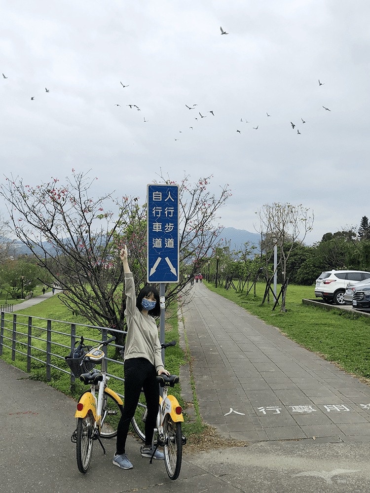 新店 陽光運動公園 自行車道