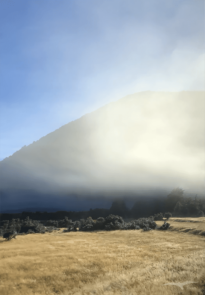 紐西蘭國道94號公路 State Highway 94 沿途風景 早晨雲霧