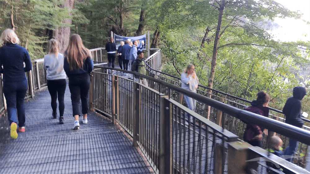 【紐西蘭D25上】蒂阿腦Te Anau～米爾福德峽灣｜沿途公路美景