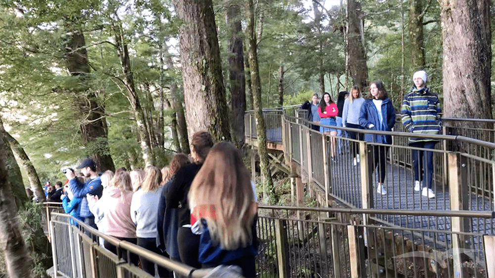 【紐西蘭D25上】蒂阿腦Te Anau～米爾福德峽灣｜沿途公路美景