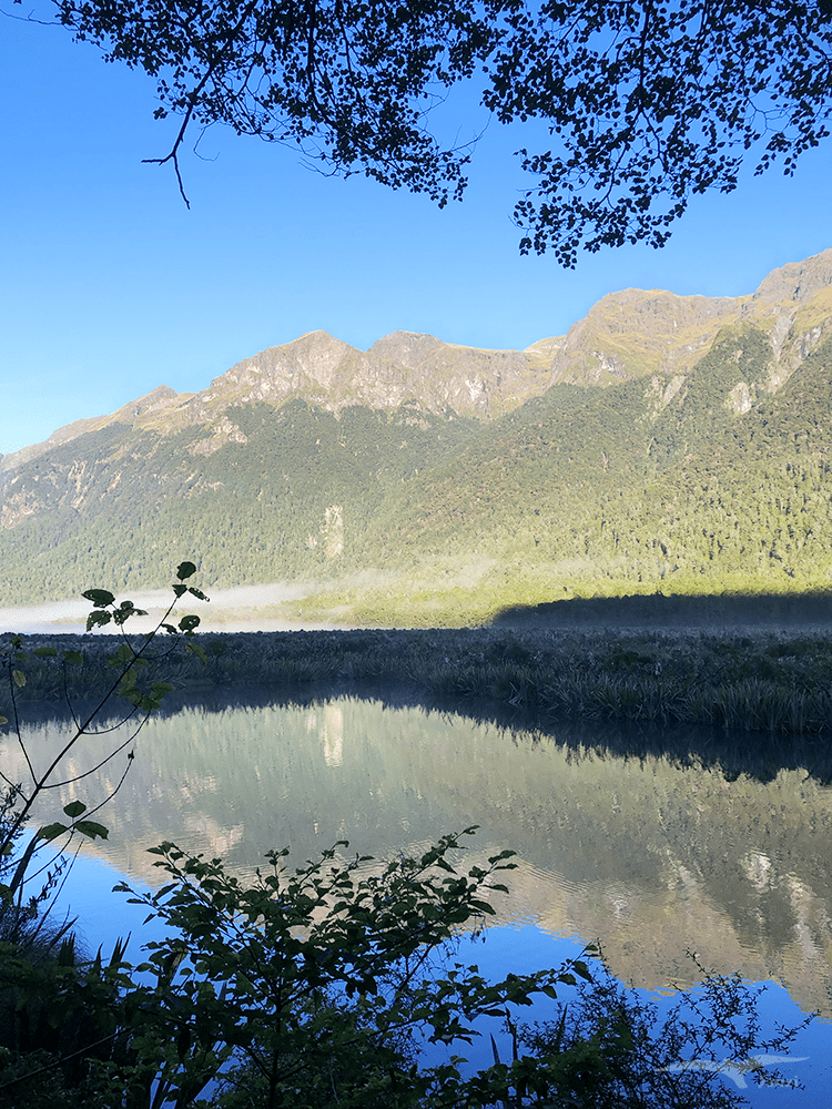 紐西蘭 南島 鏡湖 New Zealand Mirror Lakes