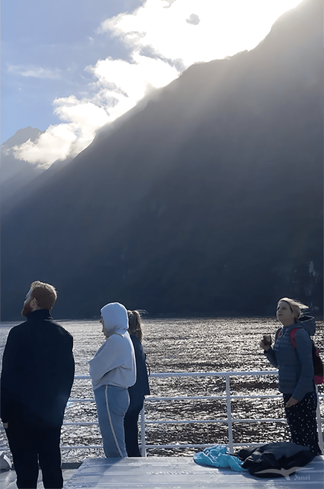 【紐西蘭D25下】米爾福德峽灣Milford Sound|探索世界八大奇景 - 第11張圖 米爾福德峽灣 Milford Sound 陽光