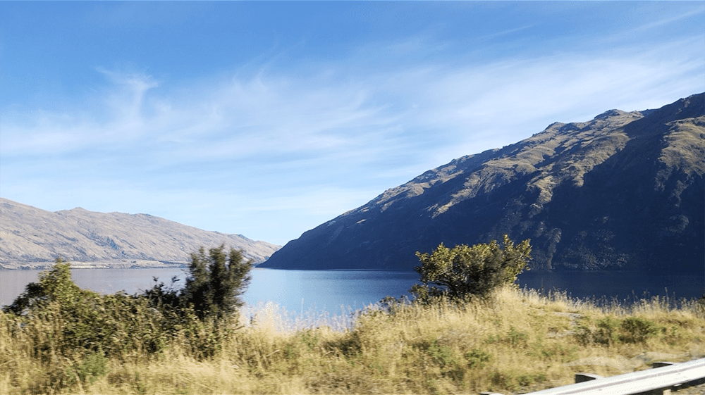 【紐西蘭D25下】米爾福德峽灣Milford Sound|探索世界八大奇景 - 第41張圖 【紐西蘭D25下】米爾福德峽灣Milford Sound|探索世界八大奇景