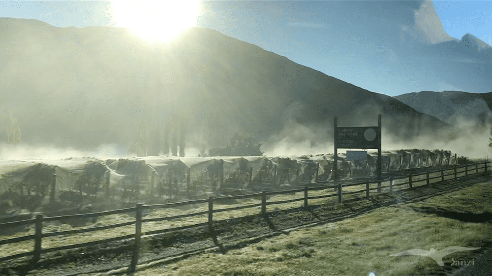 【紐西蘭D26上】普卡基湖Lake Pukaki|超美牛奶胡!無慮鏡 - 第14張圖 【紐西蘭D26上】普卡基湖Lake Pukaki|超美牛奶胡!無慮鏡