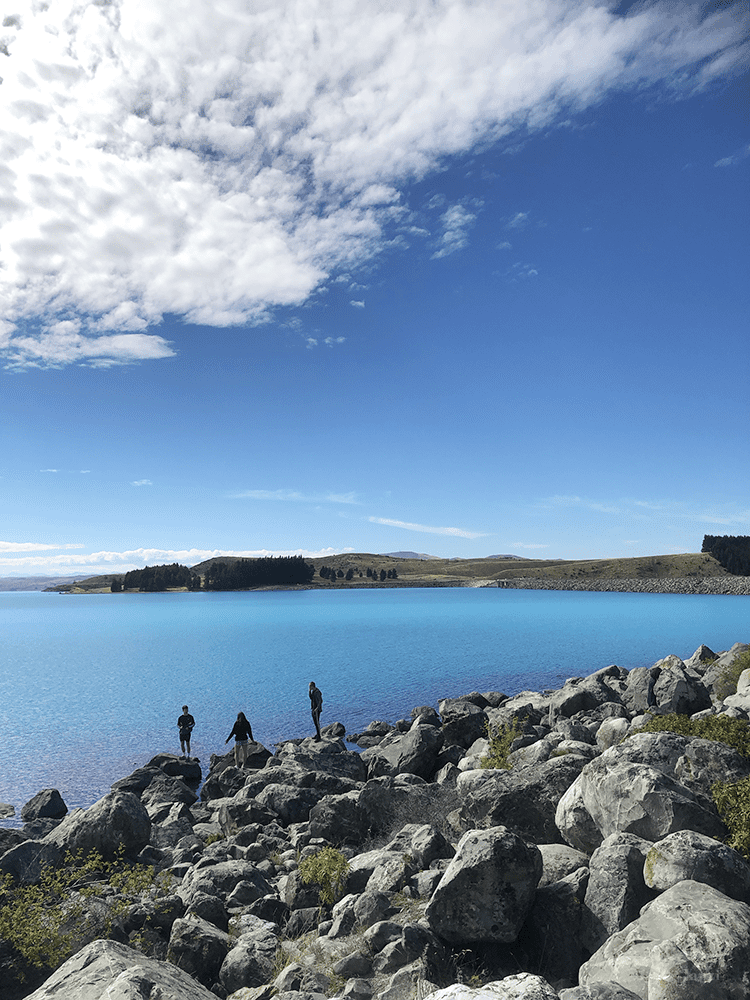 紐西蘭 南島 普卡基湖 NZ Lake Pukaki 牛奶藍色的湖景