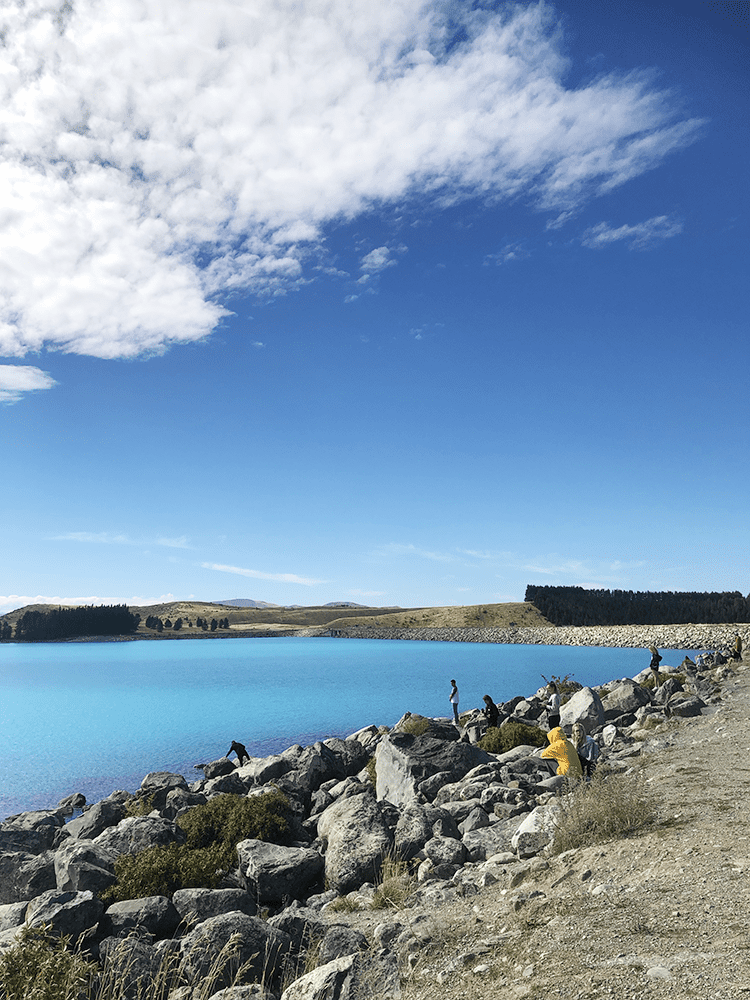 紐西蘭 南島 普卡基湖 NZ Lake Pukaki 牛奶藍色的湖景
