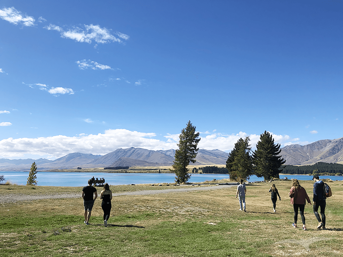 【紐西蘭D26下】蒂卡波湖Lake Tekapo+好牧羊人教堂|療癒美景 - 第3張圖 【紐西蘭D26下】蒂卡波湖Lake Tekapo+好牧羊人教堂|療癒美景
