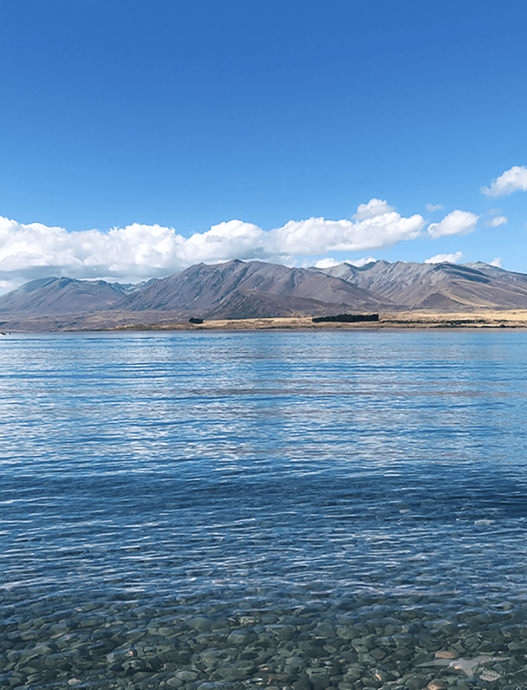 紐西蘭南島 蒂卡波湖 NZ Lake Tekapo 清澈湖水