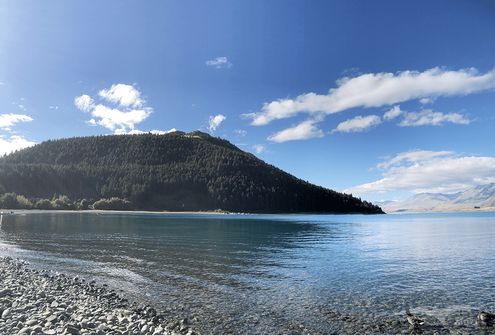 【紐西蘭D26下】蒂卡波湖Lake Tekapo+好牧羊人教堂|療癒美景 - 第75張圖 紐西蘭南島 蒂卡波湖 NZ Lake Tekapo 午後
