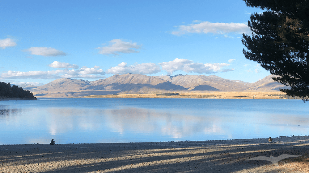 【紐西蘭D26下】蒂卡波湖Lake Tekapo+好牧羊人教堂|療癒美景 - 第78張圖 紐西蘭南島 蒂卡波湖 NZ Lake Tekapo 湖景