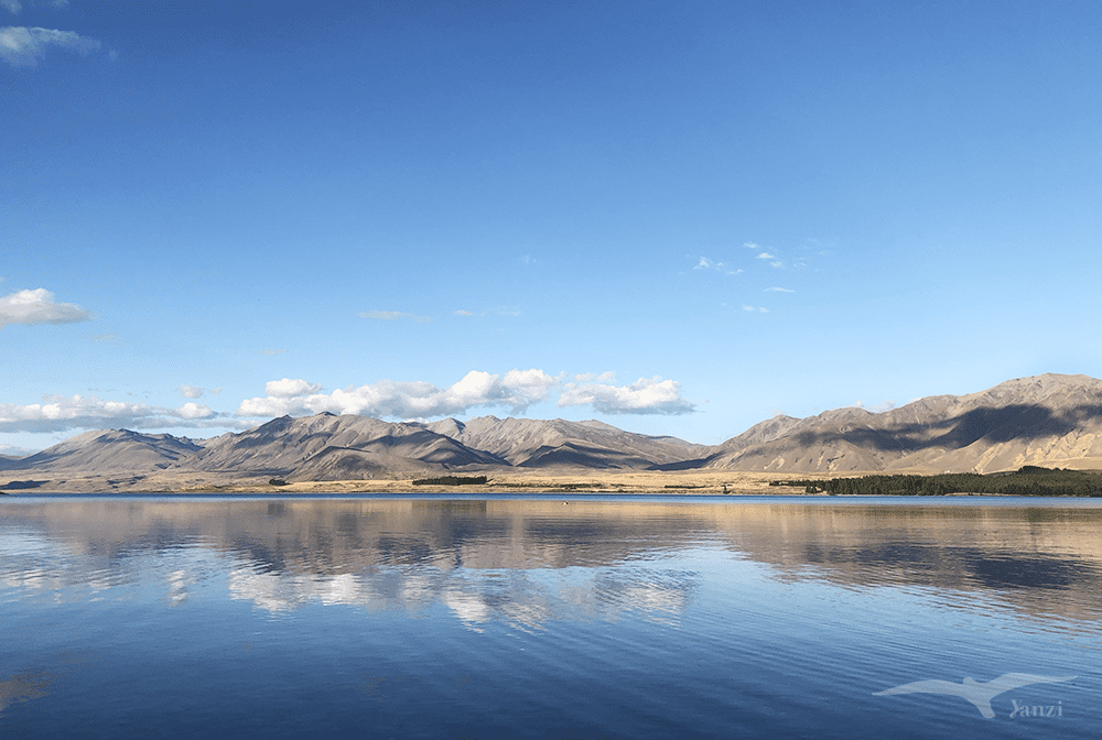 【紐西蘭D26下】蒂卡波湖Lake Tekapo+好牧羊人教堂|療癒美景 - 第80張圖 紐西蘭南島 蒂卡波湖 NZ Lake Tekapo 湖景