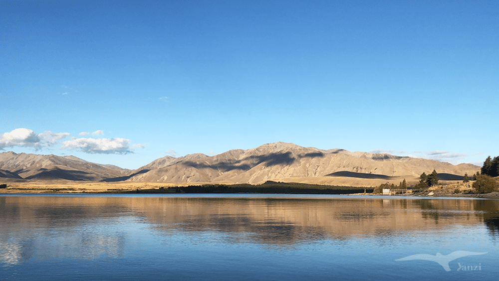 【紐西蘭D26下】蒂卡波湖Lake Tekapo+好牧羊人教堂|療癒美景 - 第81張圖 紐西蘭南島 蒂卡波湖 NZ Lake Tekapo 湖景