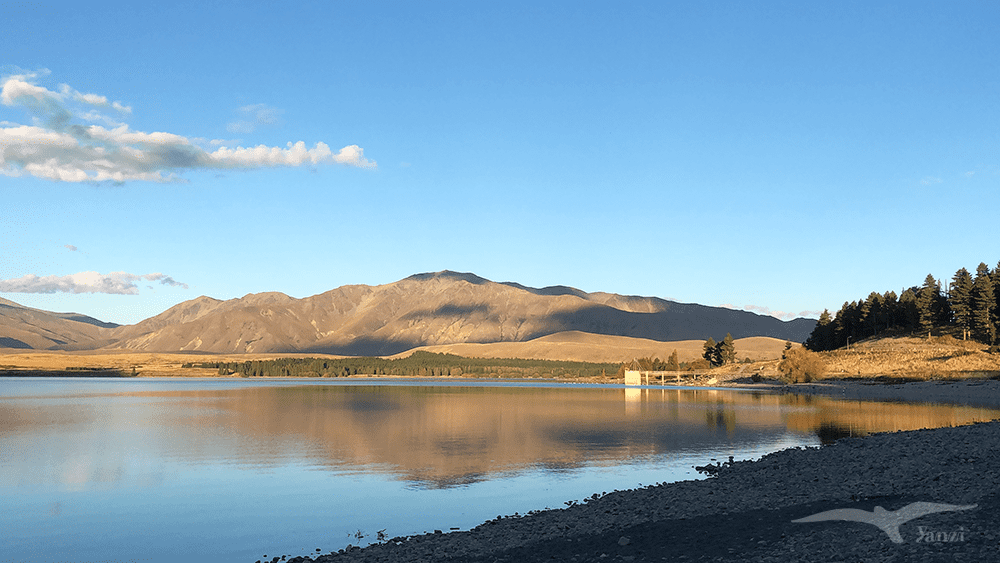 【紐西蘭D26下】蒂卡波湖Lake Tekapo+好牧羊人教堂|療癒美景 - 第84張圖 紐西蘭南島 蒂卡波湖 NZ Lake Tekapo 湖面山景