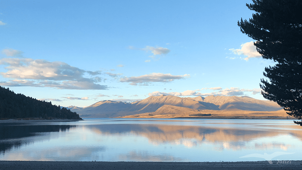 【紐西蘭D26下】蒂卡波湖Lake Tekapo+好牧羊人教堂|療癒美景 - 第86張圖 紐西蘭南島 蒂卡波湖 NZ Lake Tekapo 傍晚