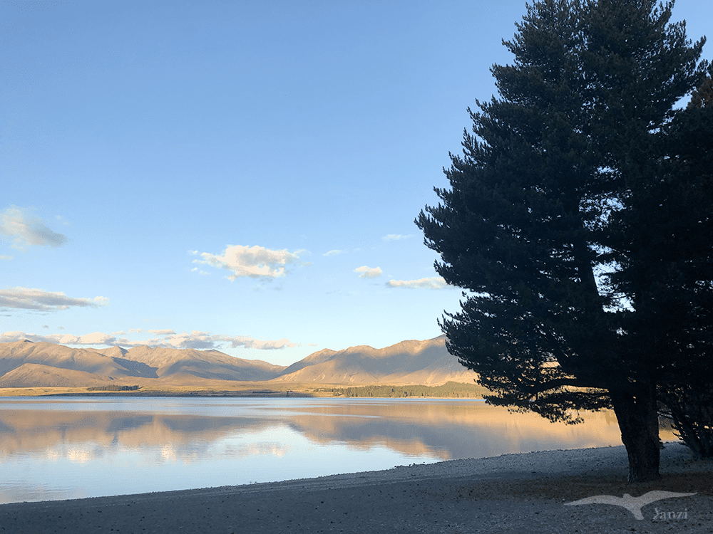 【紐西蘭D26下】蒂卡波湖Lake Tekapo+好牧羊人教堂|療癒美景 - 第87張圖 紐西蘭南島 蒂卡波湖 NZ Lake Tekapo 傍晚