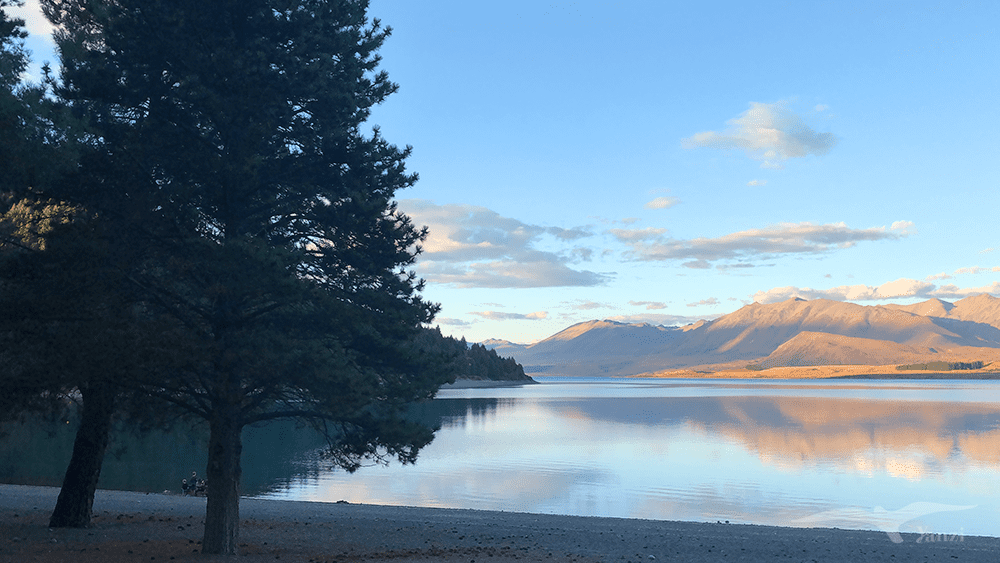 【紐西蘭D26下】蒂卡波湖Lake Tekapo+好牧羊人教堂|療癒美景 - 第88張圖 紐西蘭南島 蒂卡波湖 NZ Lake Tekapo 傍晚