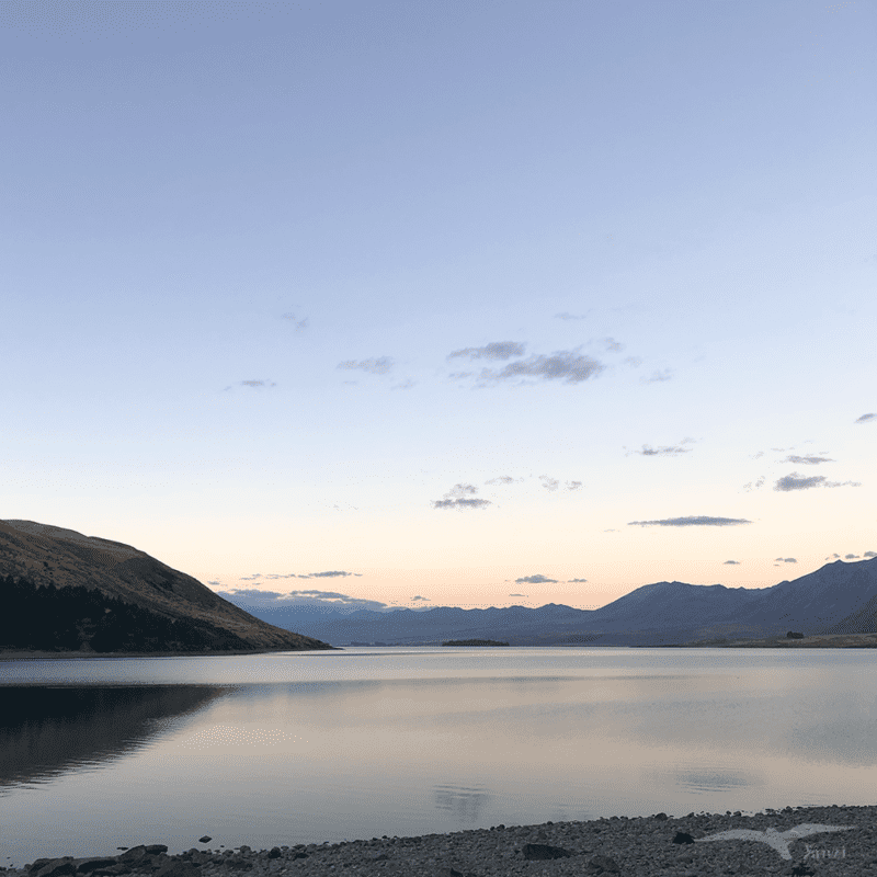 【紐西蘭D26下】蒂卡波湖Lake Tekapo+好牧羊人教堂|療癒美景 - 第95張圖 紐西蘭南島 蒂卡波湖 NZ Lake Tekapo 黃昏 橙紫色天空