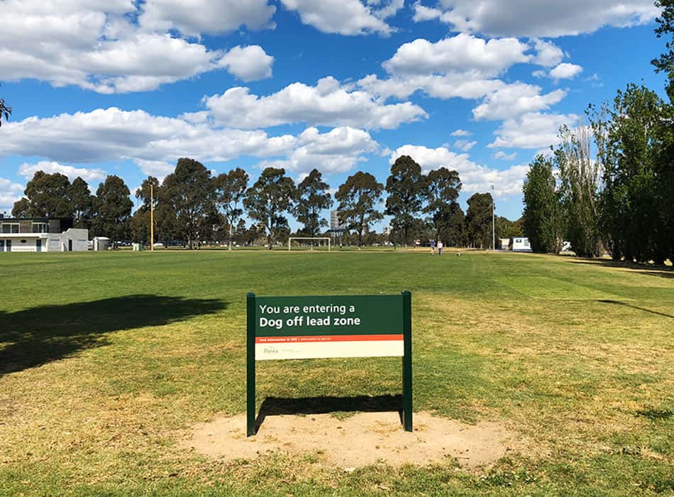 【墨爾本】超大湖泊公園 Albert Park Lake|慢跑/划船/野餐 - 第8張圖