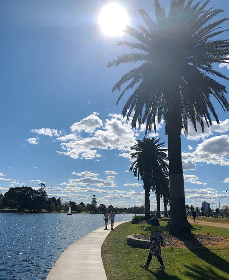【墨爾本】超大湖泊公園 Albert Park Lake|慢跑/划船/野餐 - 第26張圖 墨爾本 阿爾伯特公園湖 Albert Park Lake 棕櫚樹