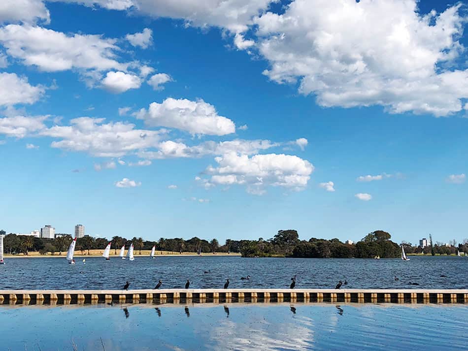 【墨爾本】超大湖泊公園 Albert Park Lake|慢跑/划船/野餐 - 第36張圖