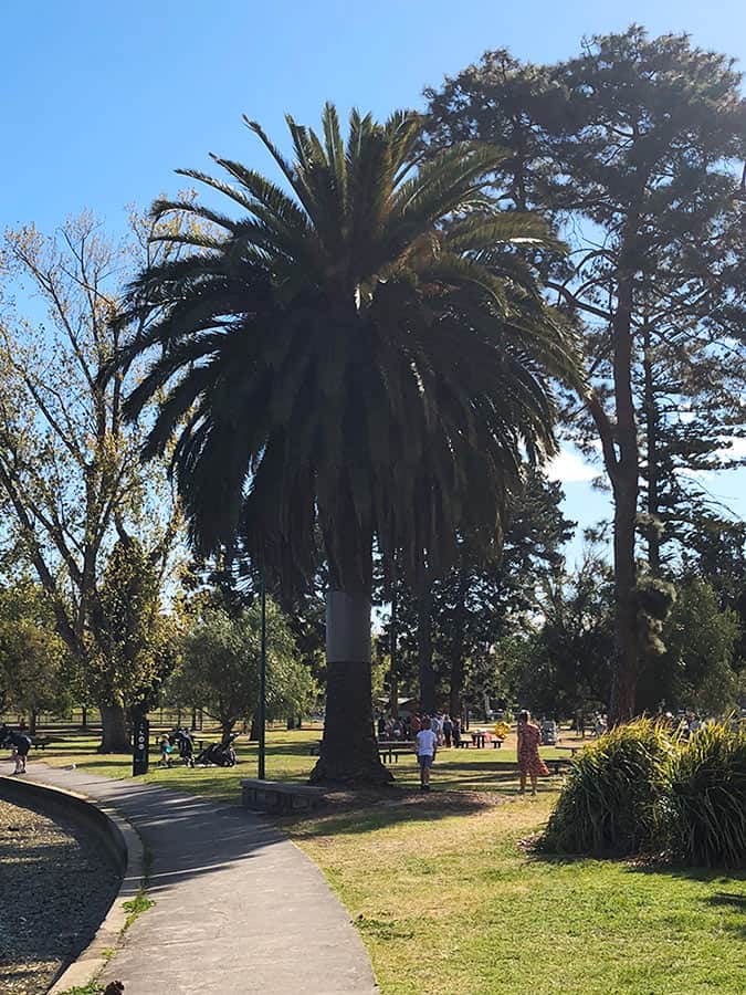 【墨爾本】超大湖泊公園 Albert Park Lake|慢跑/划船/野餐 - 第38張圖 墨爾本 阿爾伯特公園 Albert Park 野餐