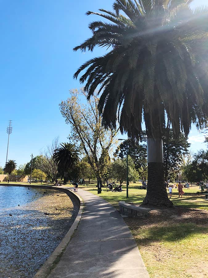 【墨爾本】超大湖泊公園 Albert Park Lake|慢跑/划船/野餐 - 第39張圖 墨爾本 阿爾伯特公園 Albert Park 野餐