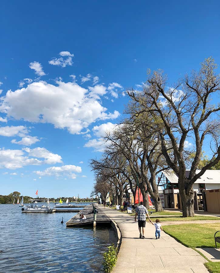 【墨爾本】超大湖泊公園 Albert Park Lake|慢跑/划船/野餐 - 第42張圖 墨爾本 阿爾伯特公園湖 Albert Park Lake 父子