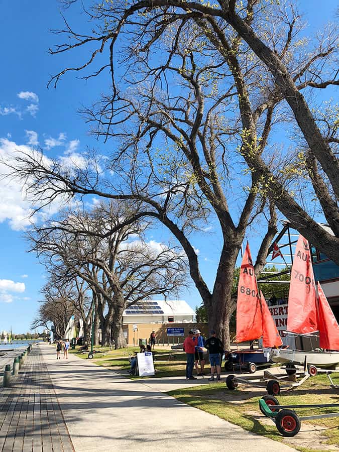 【墨爾本】超大湖泊公園 Albert Park Lake|慢跑/划船/野餐 - 第43張圖 墨爾本 阿爾伯特公園湖 Albert Park Lake 帆船