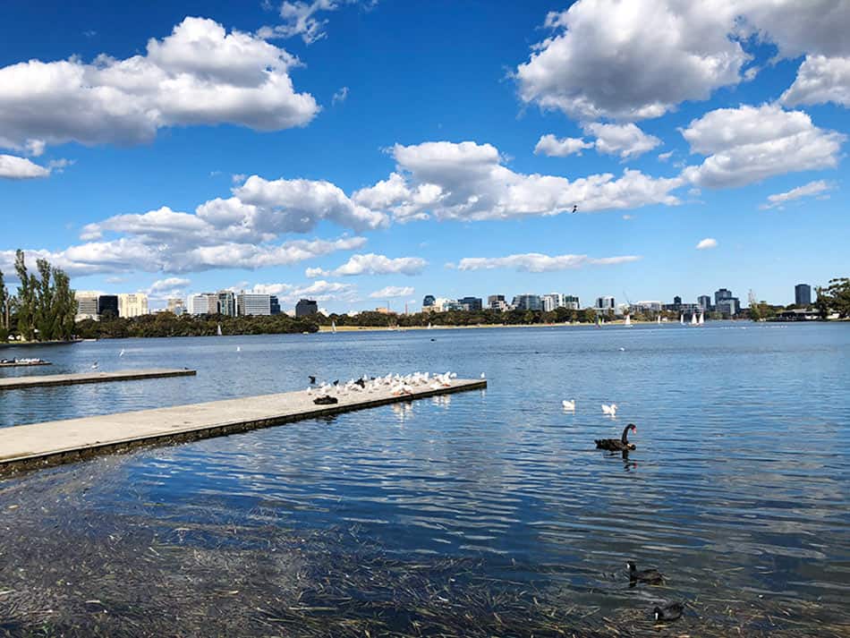 【墨爾本】超大湖泊公園 Albert Park Lake|慢跑/划船/野餐 - 第52張圖