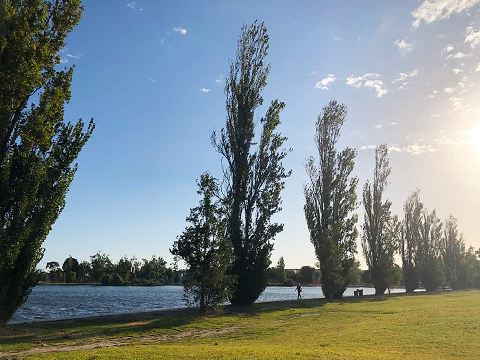【墨爾本】超大湖泊公園 Albert Park Lake|慢跑/划船/野餐 - 第61張圖 墨爾本 阿爾伯特公園湖 Albert Park Lake