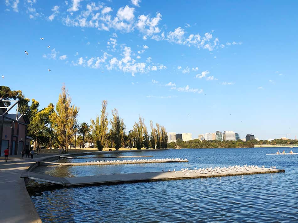 【墨爾本】超大湖泊公園 Albert Park Lake|慢跑/划船/野餐 - 第51張圖