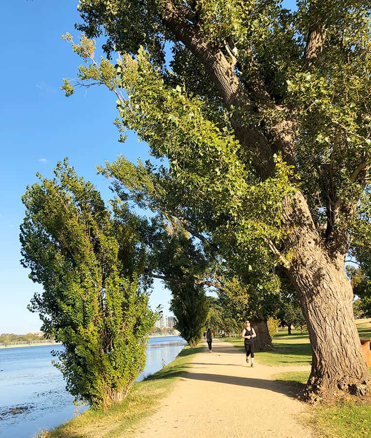 【墨爾本】超大湖泊公園 Albert Park Lake|慢跑/划船/野餐 - 第64張圖 墨爾本 阿爾伯特公園湖 Albert Park Lake