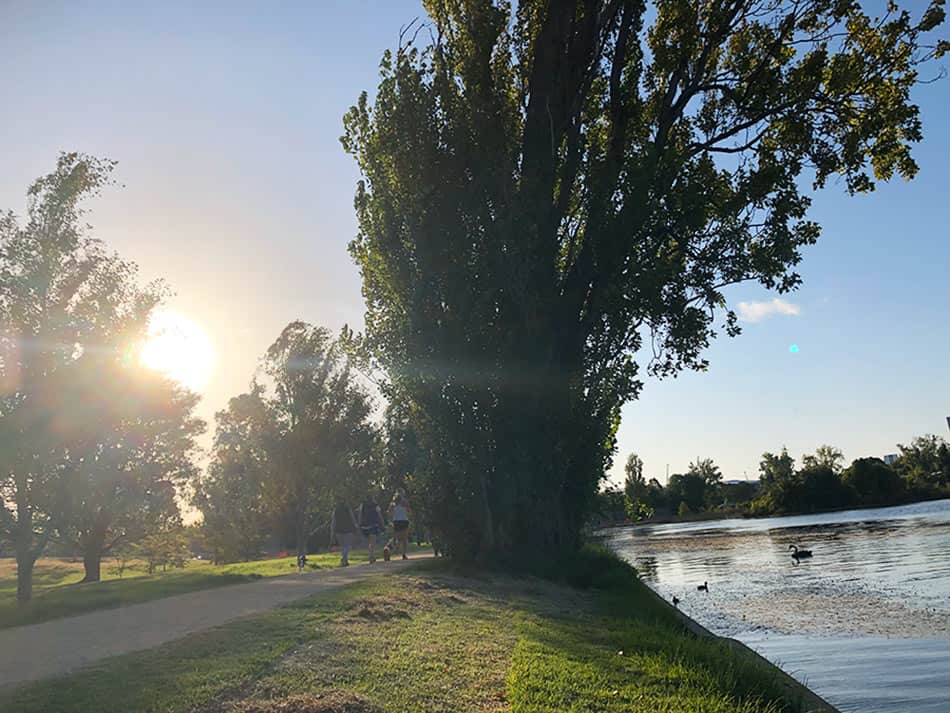 【墨爾本】超大湖泊公園 Albert Park Lake|慢跑/划船/野餐 - 第60張圖