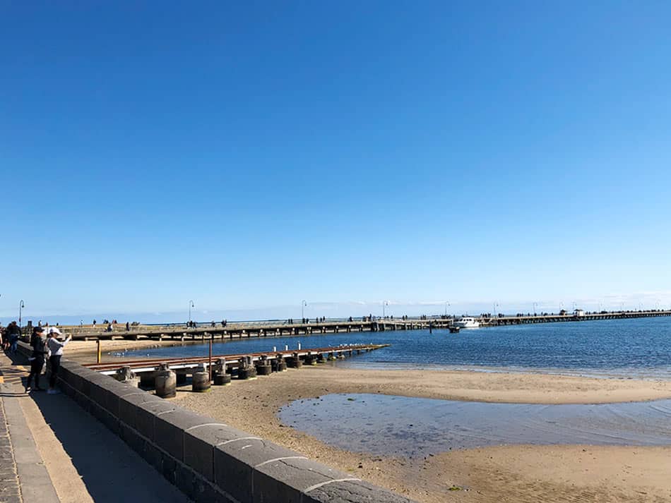 【墨爾本】聖科達海灘 St Kilda Beach|免費看野生企鵝歸岸 - 第4張圖