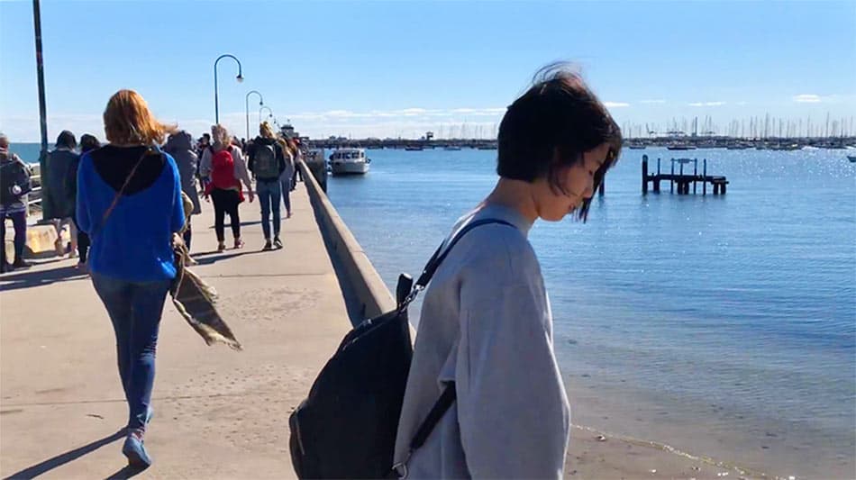 【墨爾本】聖科達海灘 St Kilda Beach｜免費看野生企鵝歸岸