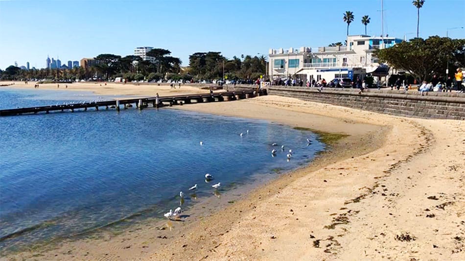 【墨爾本】聖科達海灘 St Kilda Beach|免費看野生企鵝歸岸 - 第7張圖