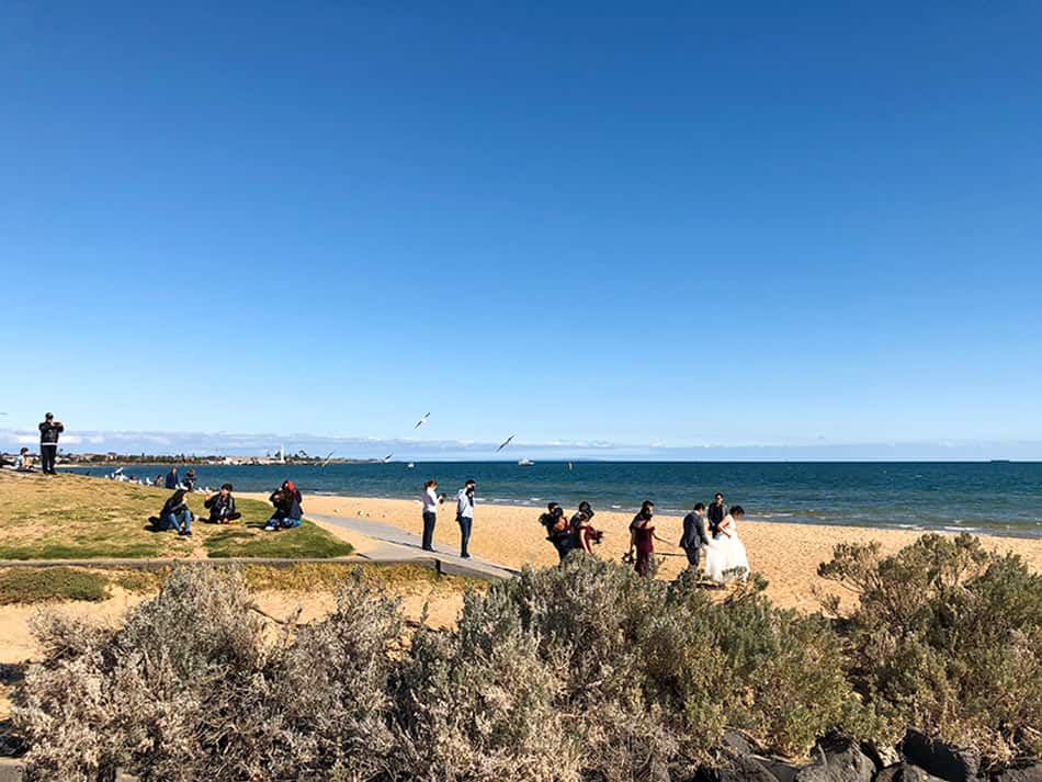 【墨爾本】聖科達海灘 St Kilda Beach|免費看野生企鵝歸岸 - 第10張圖