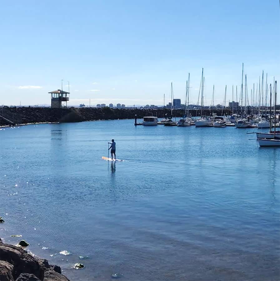 【墨爾本】聖科達海灘 St Kilda Beach｜免費看野生企鵝歸岸