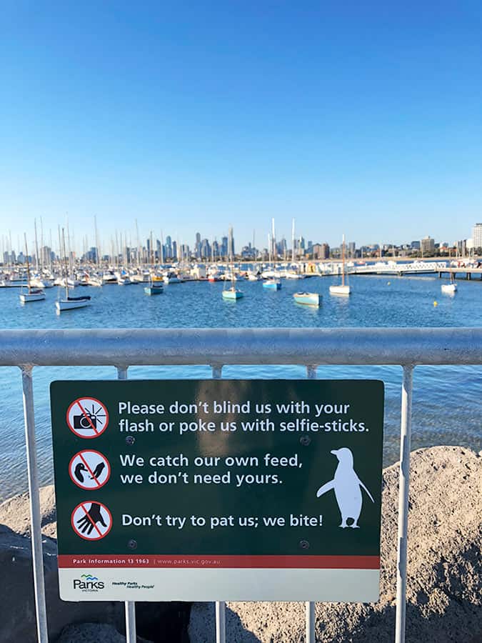 【墨爾本】聖科達海灘 St Kilda Beach|免費看野生企鵝歸岸 - 第48張圖