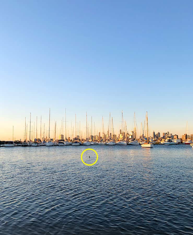 【墨爾本】聖科達海灘 St Kilda Beach|免費看野生企鵝歸岸 - 第50張圖 墨爾本 聖科達碼頭 Melbourne St Kilda Pier 企鵝