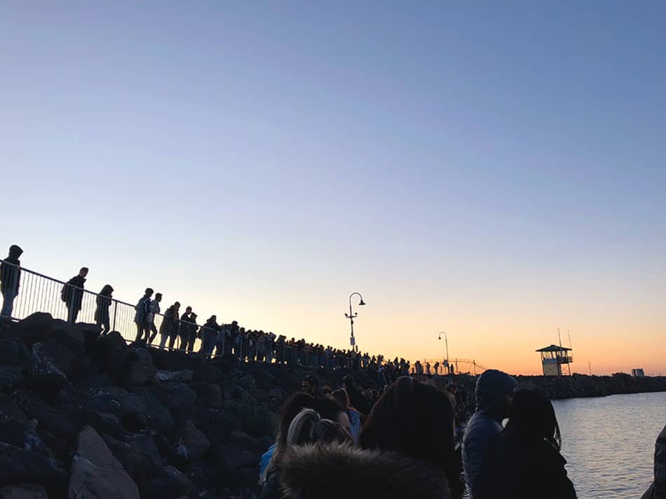 【墨爾本】聖科達海灘 St Kilda Beach|免費看野生企鵝歸岸 - 第52張圖