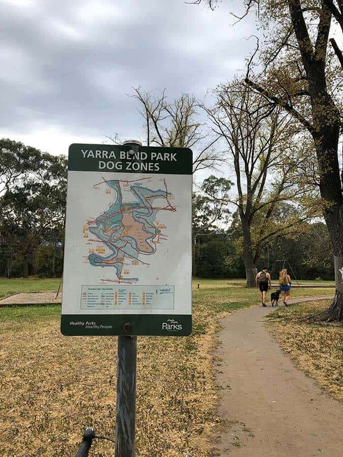 墨爾本 雅拉河彎公園 Melbourne Yarra Bend Park
