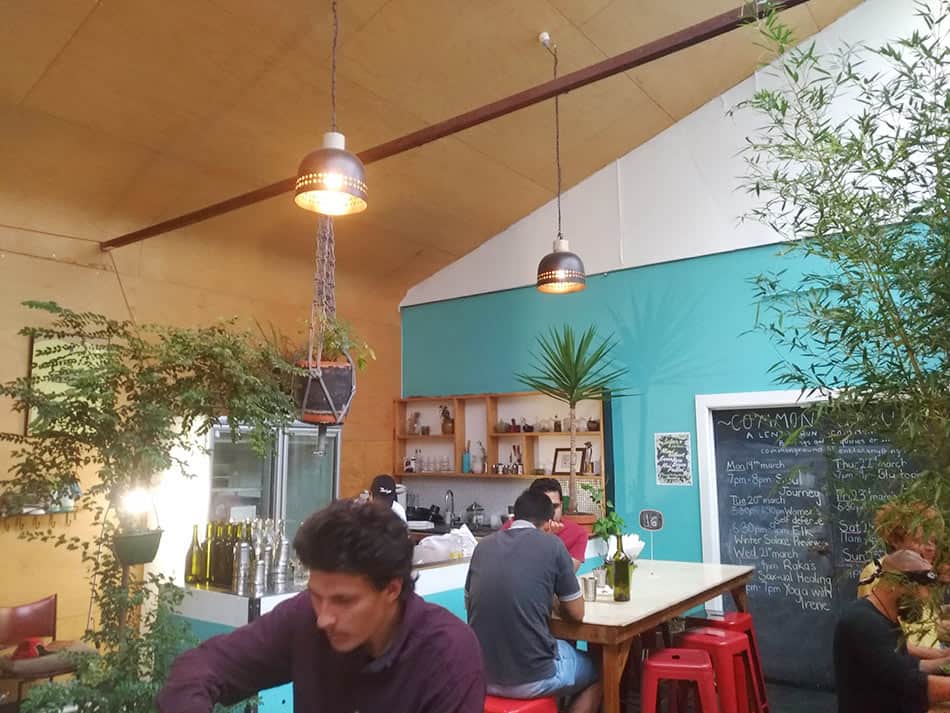 【墨爾本】義工素食餐廳Lentil as Anything三間分店|自由給錢 - 第14張圖