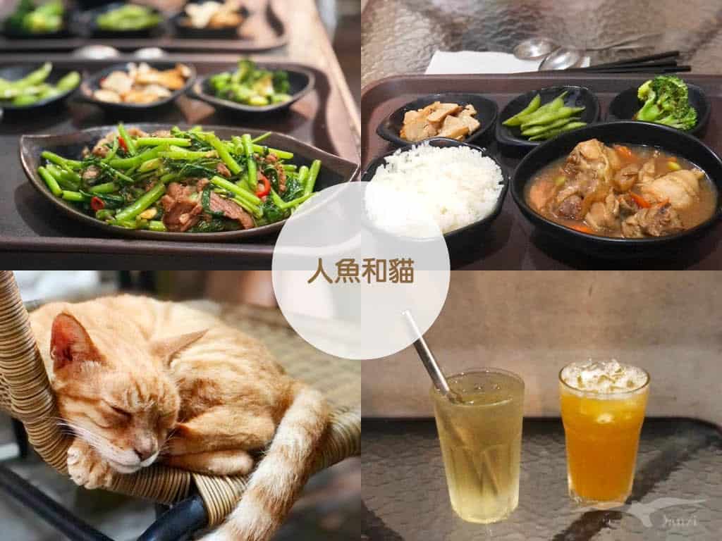 【特色餐廳】人魚和貓｜東清部落 3