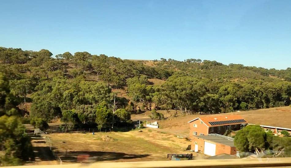 【墨爾本跟團一日遊】疏芬山掏金小鎮Sovereign Hill+羊駝農場 - 第3張圖 【墨爾本跟團一日遊】疏芬山掏金小鎮Sovereign Hill+羊駝農場