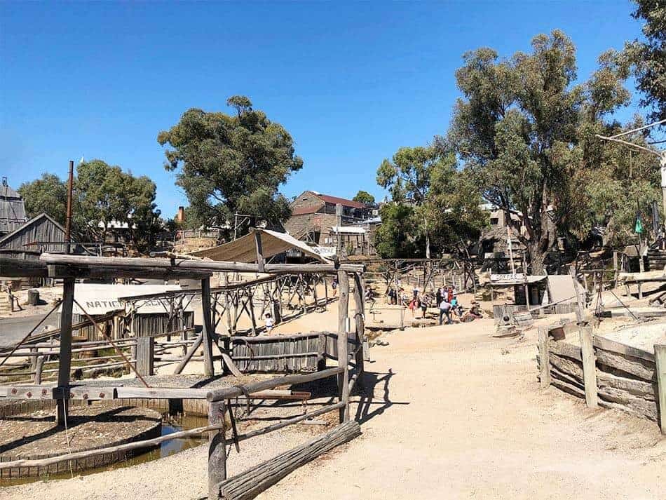 【墨爾本跟團一日遊】疏芬山掏金小鎮Sovereign Hill+羊駝農場 - 第99張圖