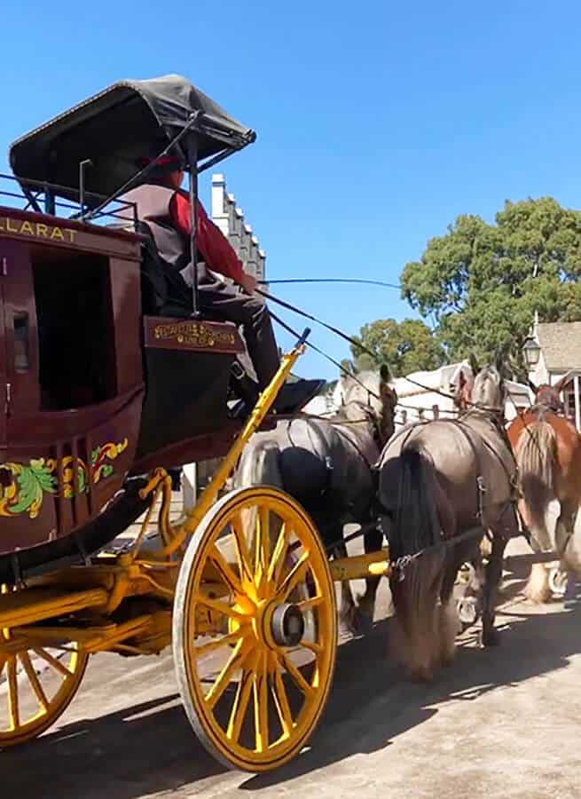 【墨爾本跟團一日遊】疏芬山掏金小鎮Sovereign Hill+羊駝農場 - 第87張圖 疏芬山掏金小鎮 Sovereign Hill 馬車之旅 Horse Bazaar