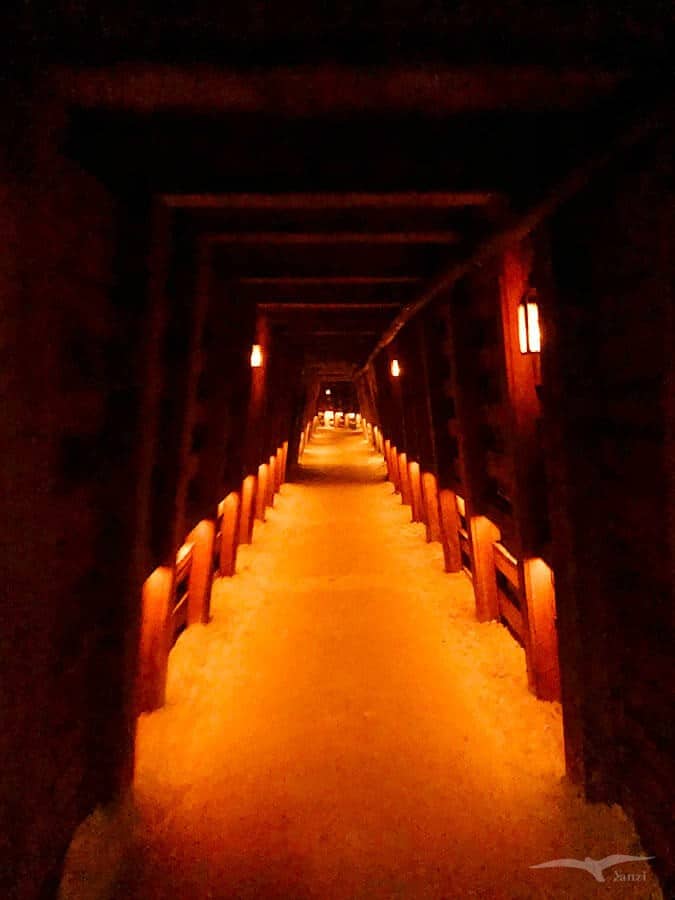 【墨爾本跟團一日遊】疏芬山掏金小鎮Sovereign Hill+羊駝農場 - 第93張圖 疏芬山掏金小鎮 Sovereign Hill 金礦之旅 Gold Mine Tour
